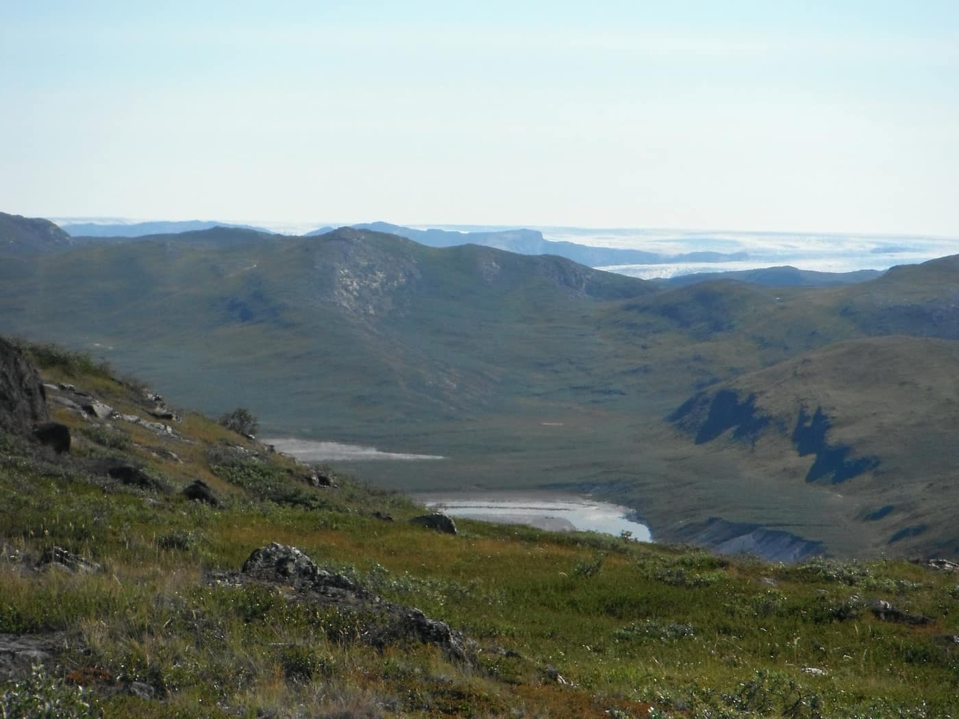 Tundra