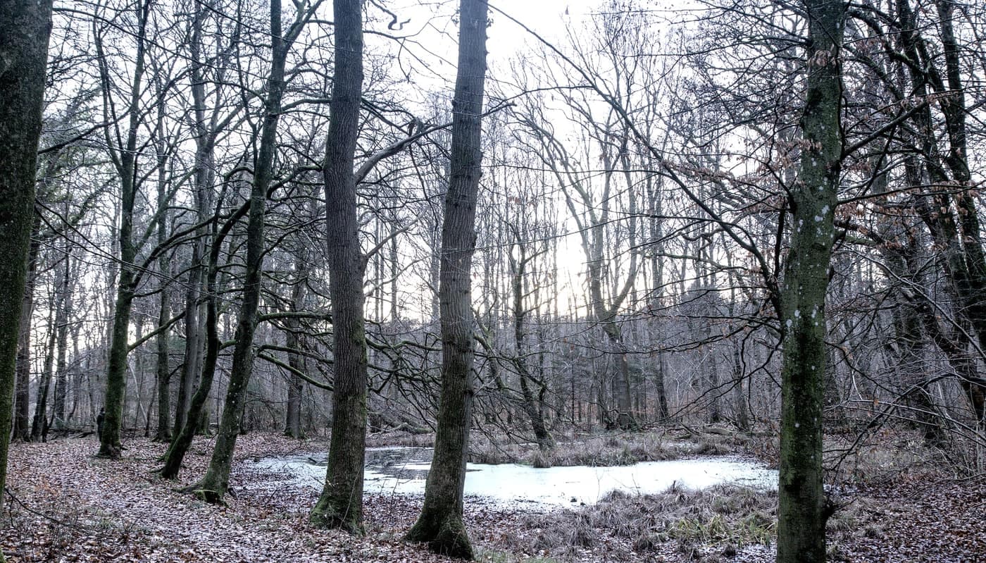 Frostbund