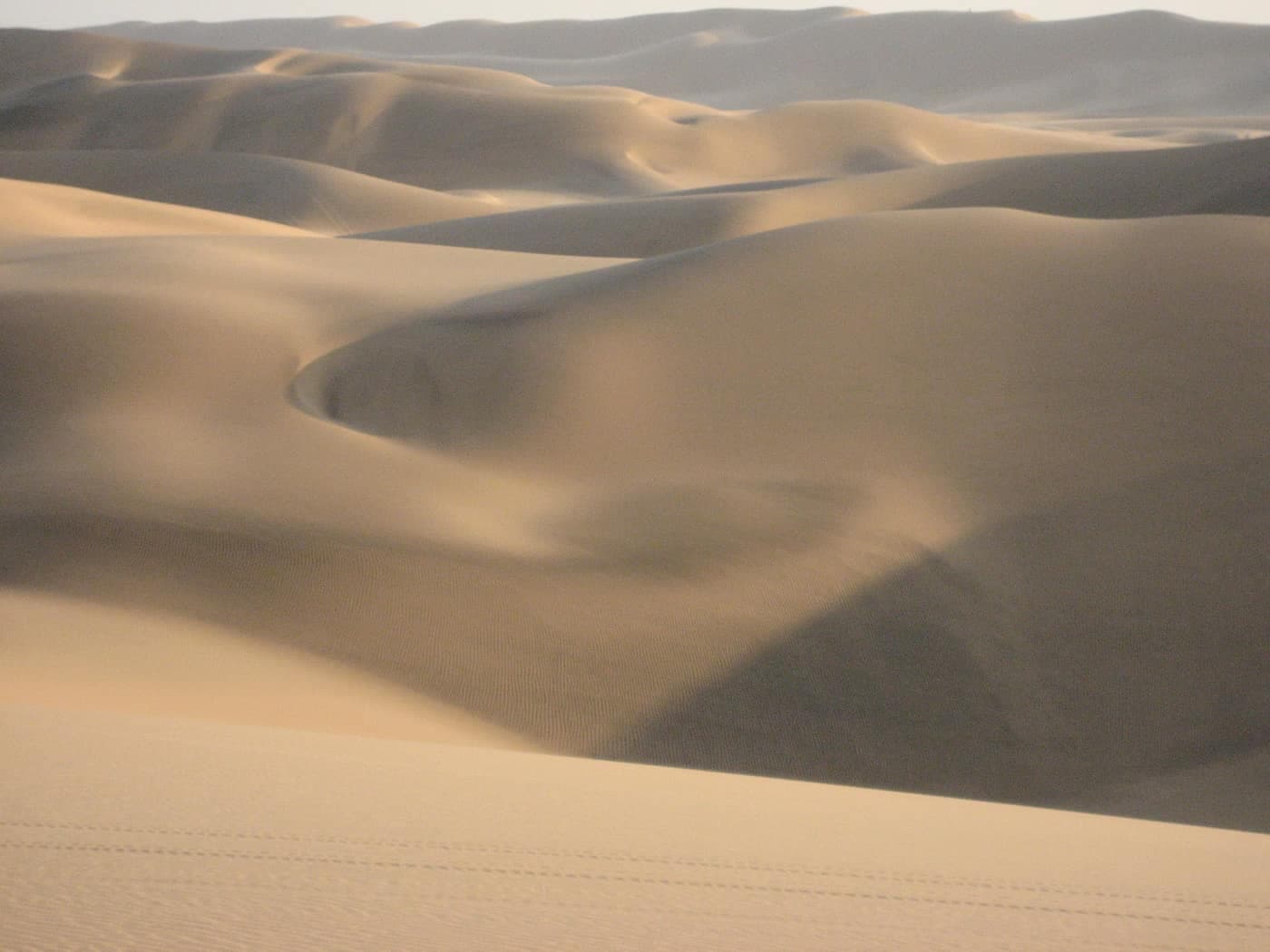 Dunekam
